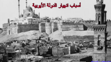 أسباب إنهيار الدولة الايوبية