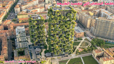 ناطحة السحاب التي تنفست الطبيعة