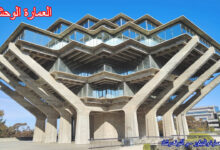 العمارة الوحشية