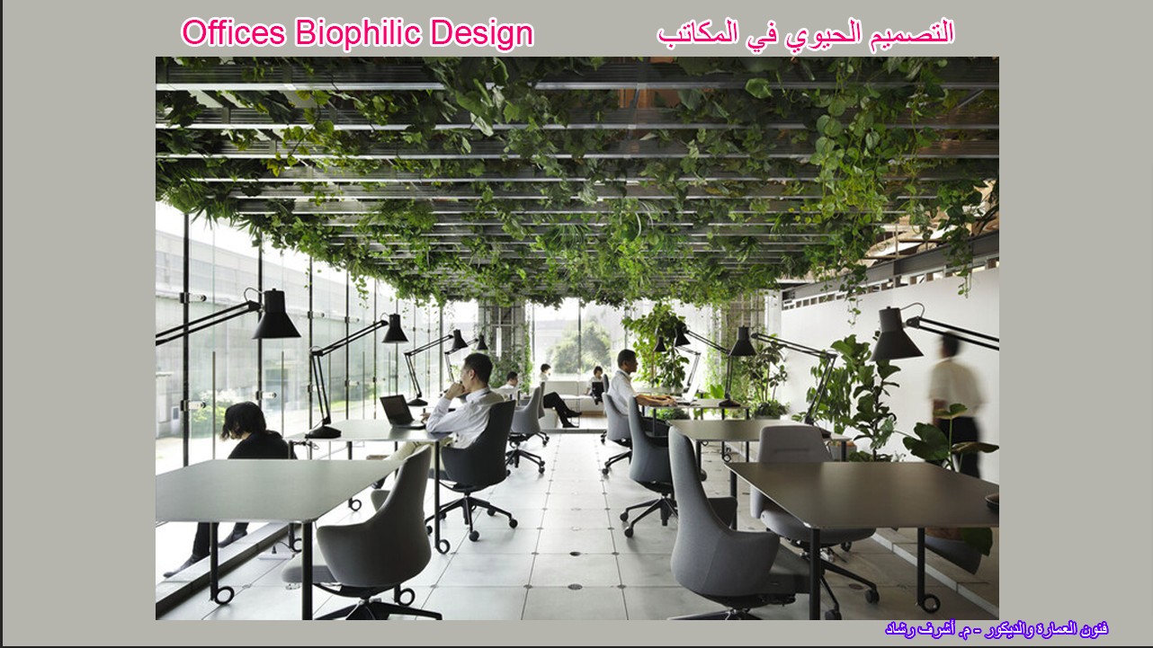 التصميم الحيوي في المكاتب