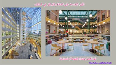 تأثير الإضاءة على الطاقة والتركيز في المكاتب