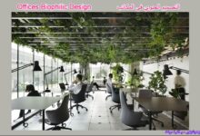 التصميم الحيوي في المكاتب