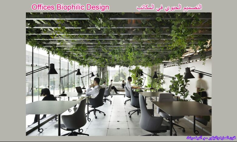 التصميم الحيوي في المكاتب