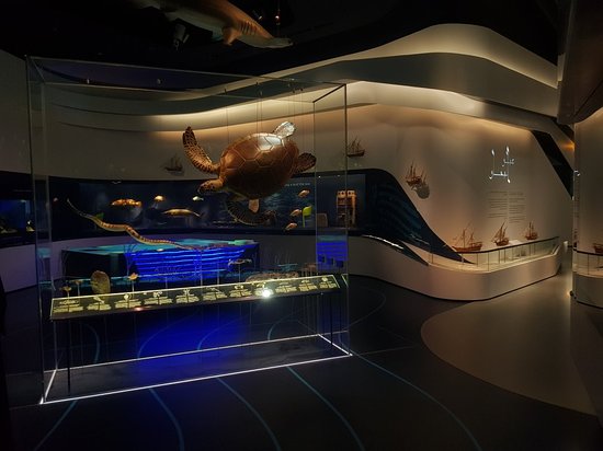 الصخرة الكبرى
المتحف